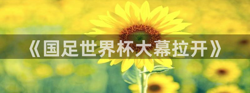 世预赛直播:《国足世界杯大幕拉开》