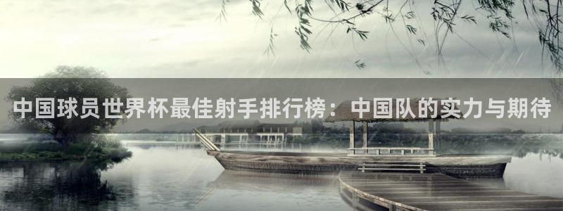 2026世界杯直播免费观看:中国球员世界杯最佳射手排行榜:中国队的实力与期待