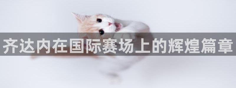 世界杯直播在线观看入口:齐达内在国际赛场上的辉煌篇章