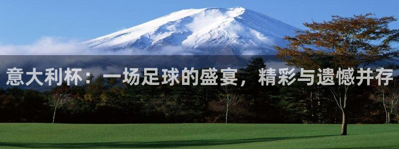 足球世界杯2026:意大利杯:一场足球的盛宴,精彩与遗憾并存